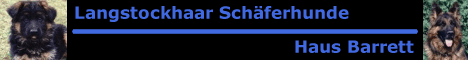 Altdeutsche Sch�ferhunde, Langstockhaar und Langhaar Sch�ferhunde Haus-Barrett